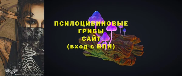 ECSTASY Осташков